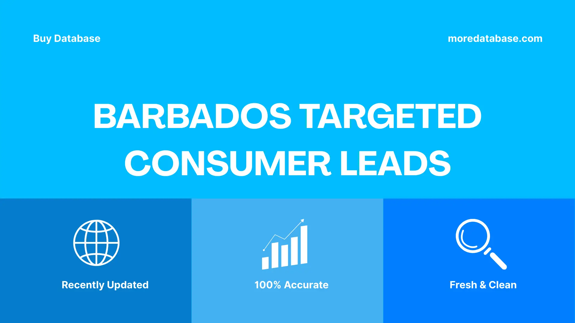 Barbados Targeted Consumer Leads